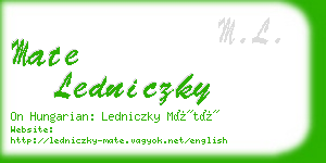 mate ledniczky business card